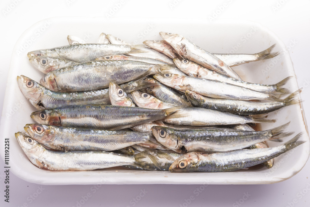 Fresh raw sardines in a white polystyrene food box isolated on w Fresh raw sardines in a white polystyrene food box isolated on w