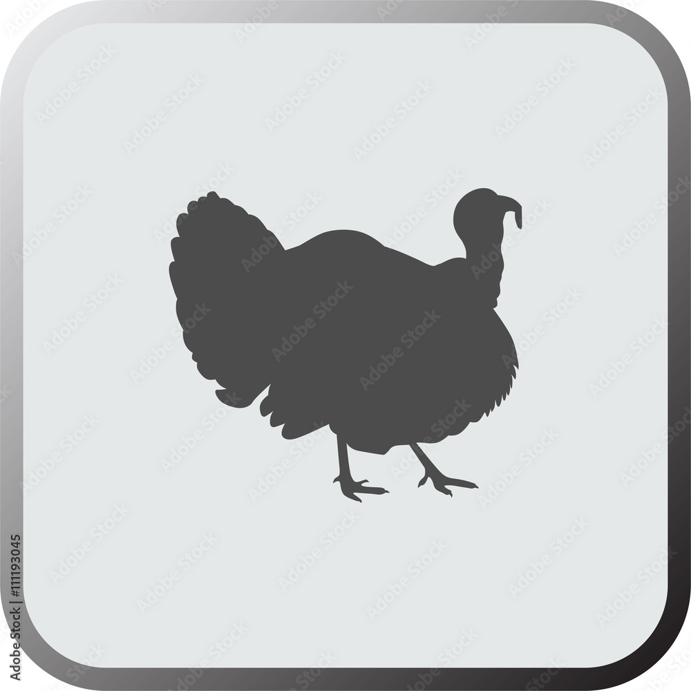 Fototapeta premium Graphical flat icon, button of turkey. Vector.