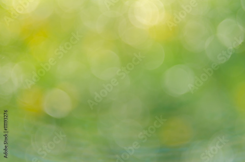 Green nature bokeh with sun light abstract background.