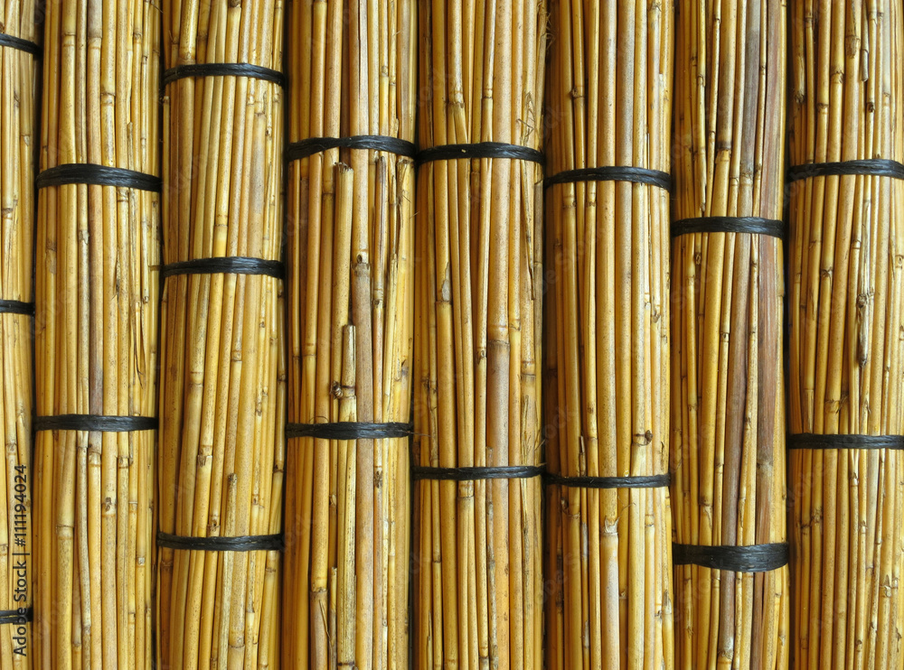Wall of reed mats. Detail of a traditional building in Barra. Inhambane, Mozambique, Southern Africa Wall of reed mats. Detail of a traditional building in Barra. Inhambane, Mozambique, Southern Africa