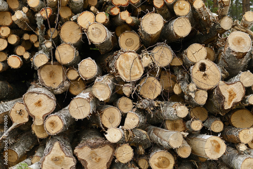 view of natural pattern of stacked felled logs