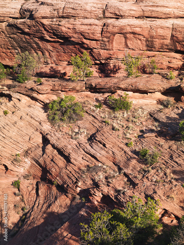 view of sandstone hill with bushes. photo