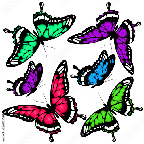 butterflies design