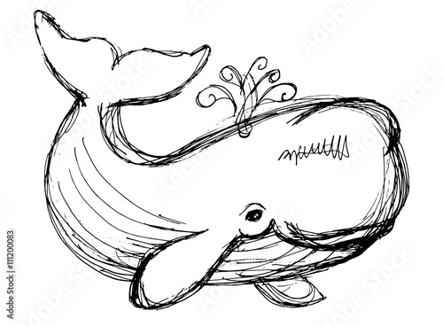 The whale drawing. Hand drawn illustration with whale. Animal in the sea and ocean.