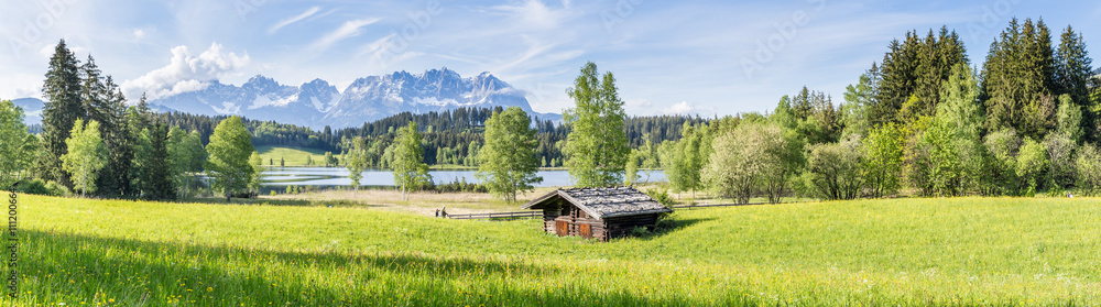 Obraz premium Landschaft - Panorama mit Wiese und Berge im Hintergrund