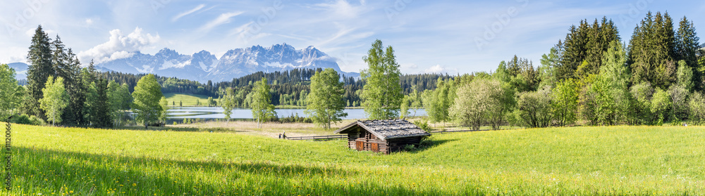 Landschaft - Panorama mit Wiese und Berge im Hintergrund Landschaft - Panorama mit Wiese und Berge im Hintergrund