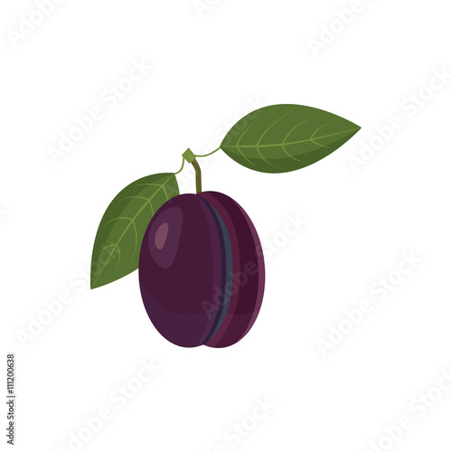 Blue plum icon, cartoon style