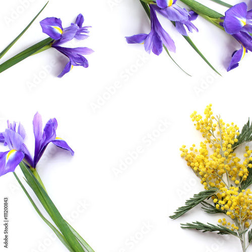 Spring flowers Mimosa and Iris Product Mockup.