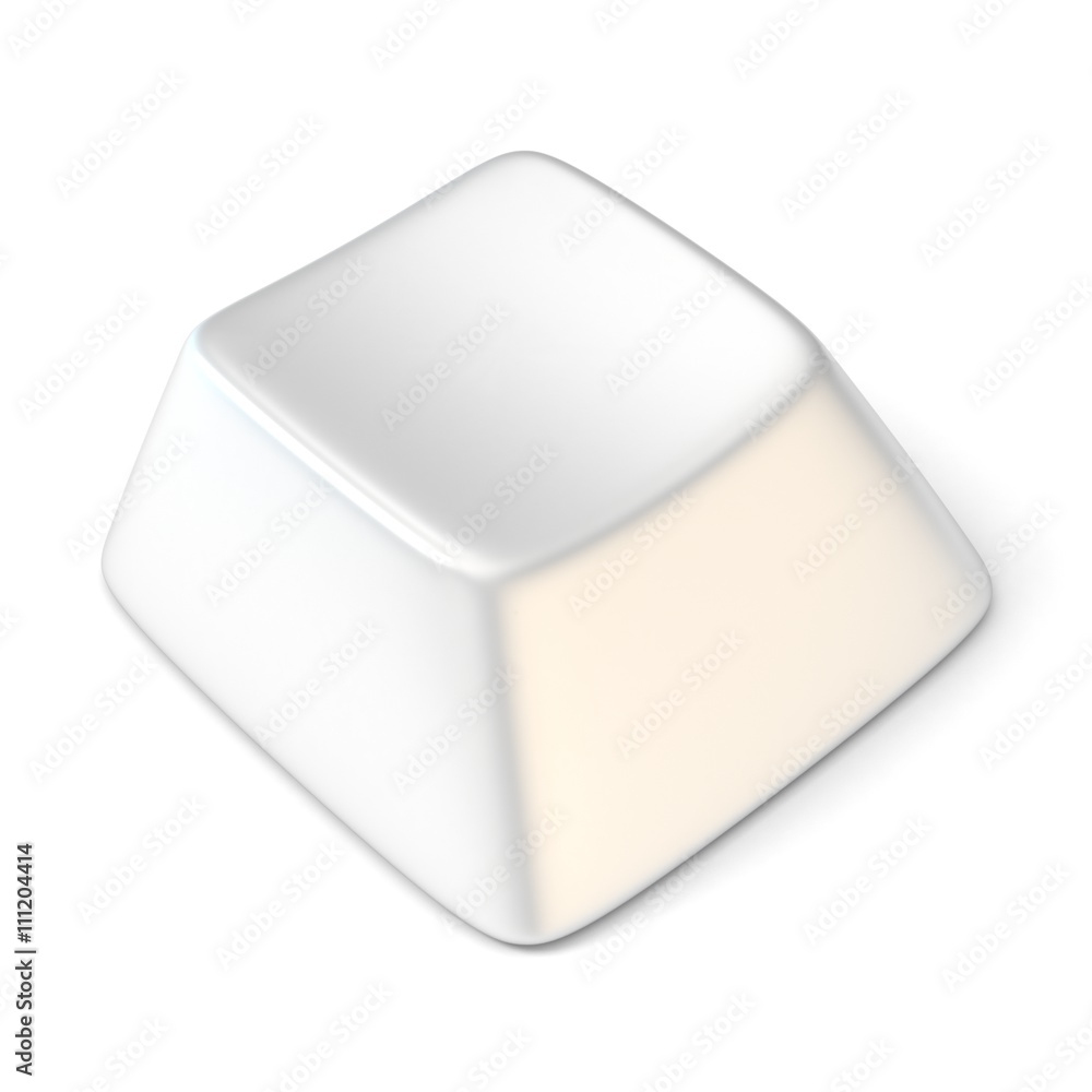 White empty computer key. Side view. 3D render illustration isolated on white background White empty computer key. Side view. 3D render illustration isolated on white background