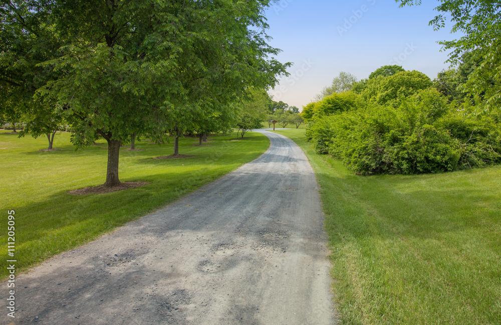 Rural Park Gravel Road