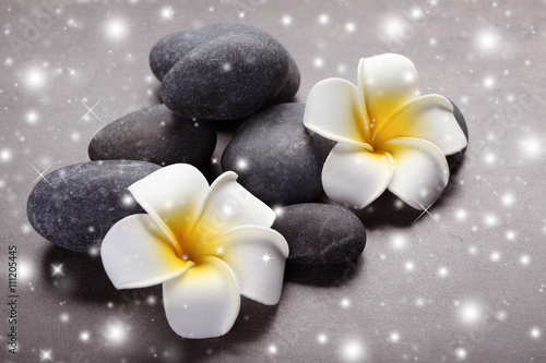 Spa stones and flowers on grey background with snow effect