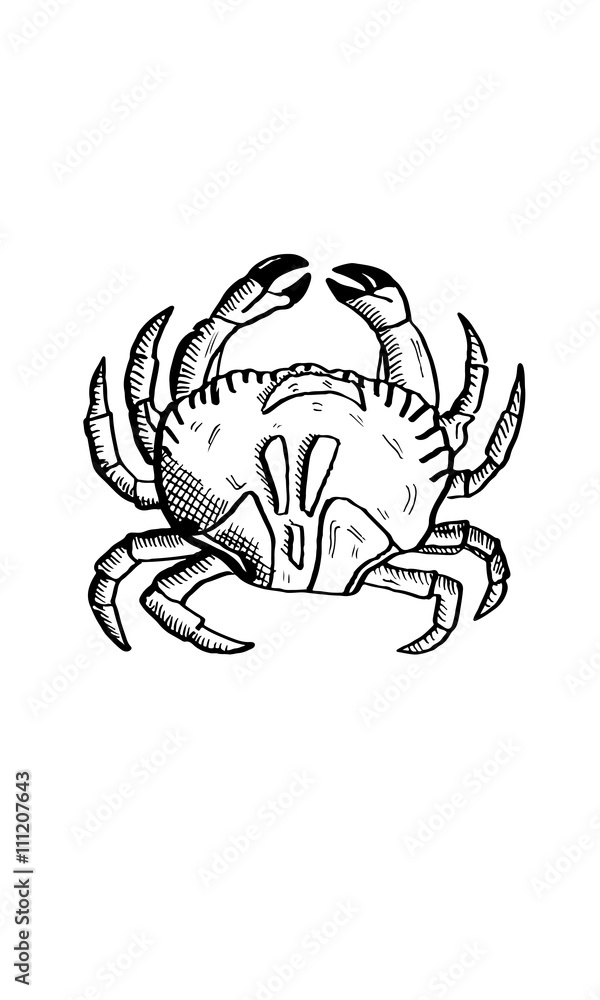 Crab Crab