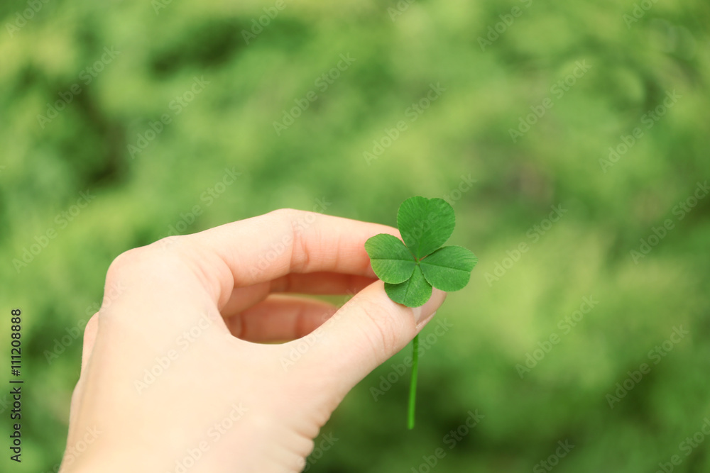 Female hand holding clover leaf on meadow background Female hand holding clover leaf on meadow background