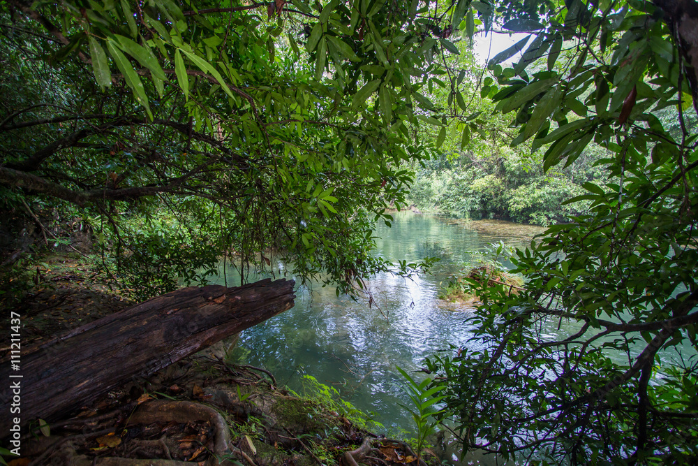 Waterfall in the forest