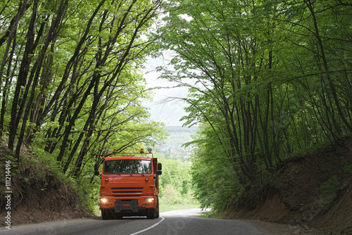 truck on the forest road