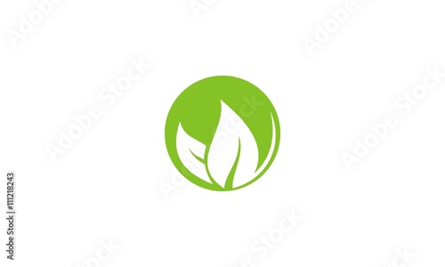Organic bio green leaf logo design with the silhouette of a single fresh green leaf above the lowercase text - organic over a white background, classic simple clean illustration
