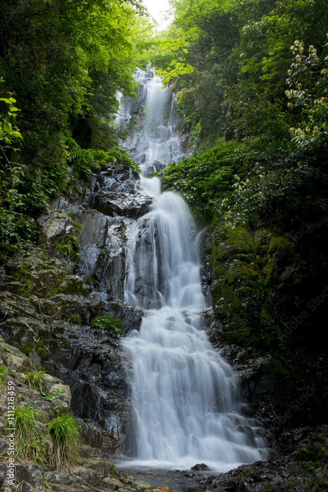 Fototapeta premium 常清滝