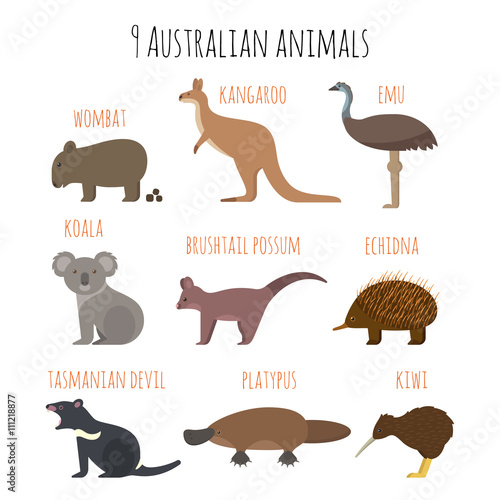 Vector set of Australian animals icons.