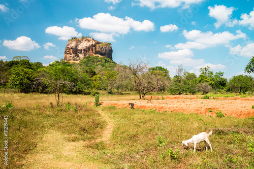 Sigiriya today is a UNESCO listed World Heritage Site. It is one of the best preserved examples of ancient urban planning. It is the most visited historic site in Sri Lanka. photo