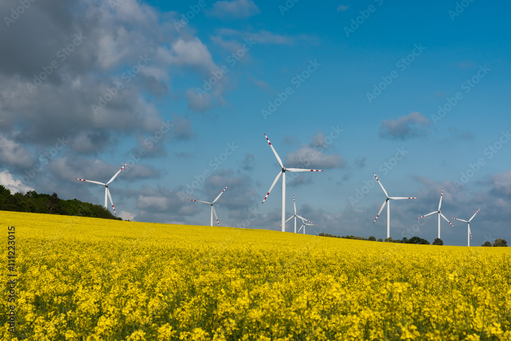 Landscape of windmills producing energy on a yellow rape field with view of the beautiful sky with clouds Landscape of windmills producing energy on a yellow rape field with view of the beautiful sky with clouds