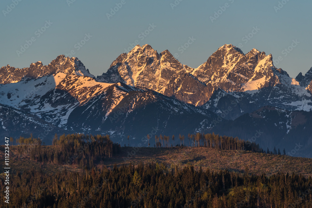 Morning panorama of Tatra Mountains in spring, Poland - obrazy, fototapety, plakaty 