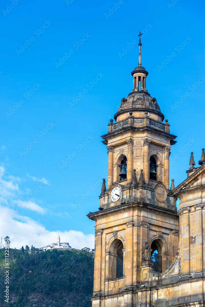 Naklejka premium Bogota Cathedral Spire