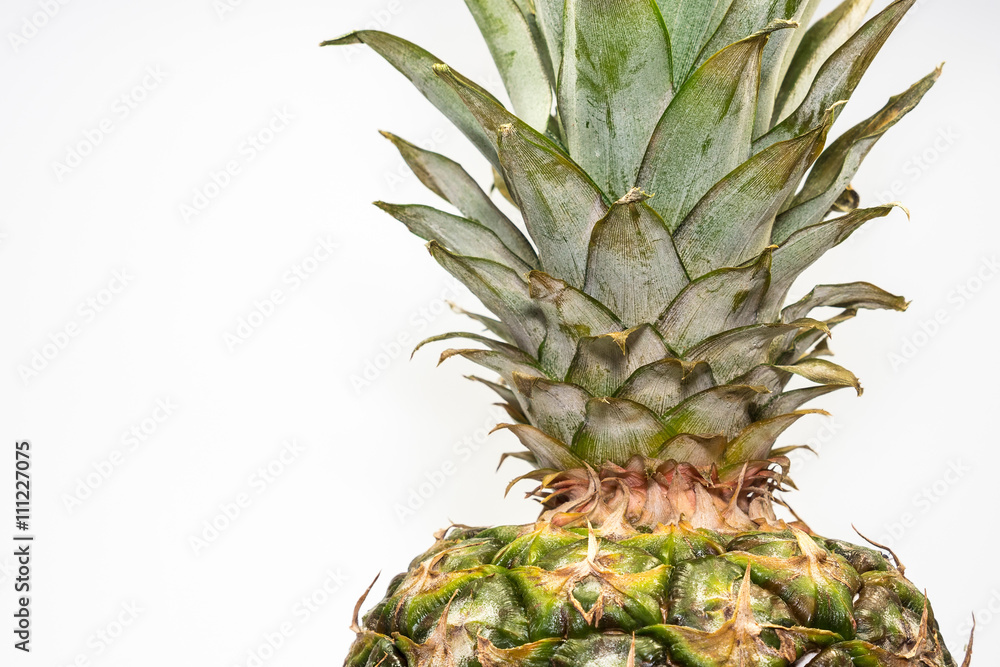 Ananas freigestellt auf weißem Hintergrund. Ananas freigestellt auf weißem Hintergrund.