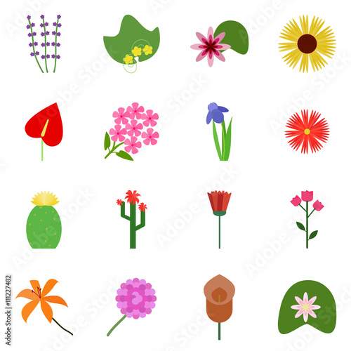 Icon set on a white background. Icons flowering. Vector icon flowering
