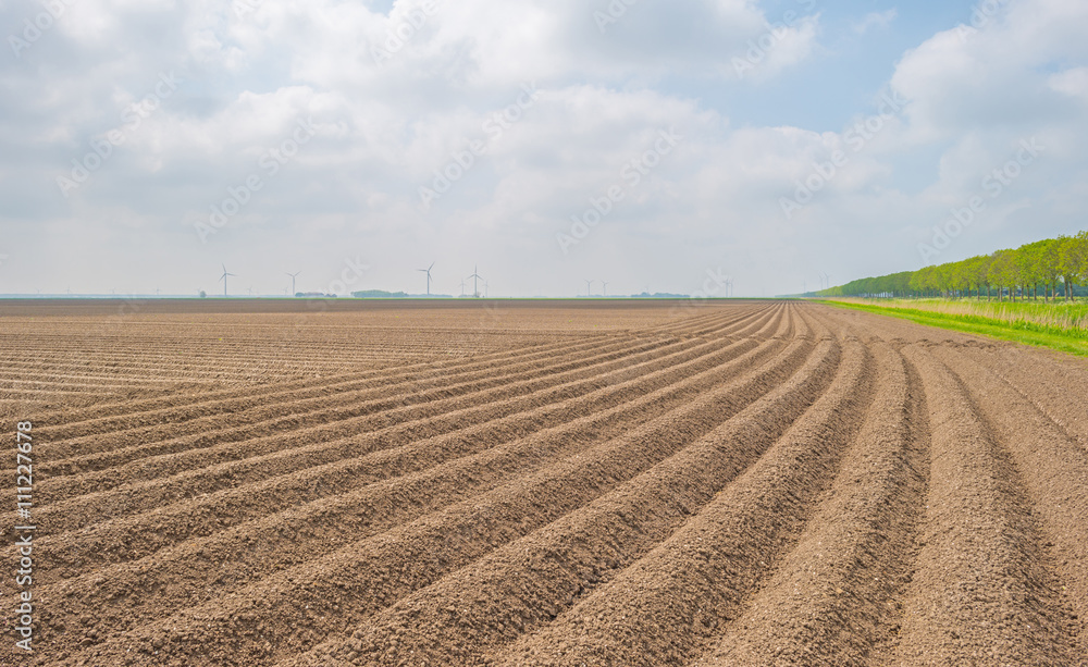 Plowed field with furrows in spring