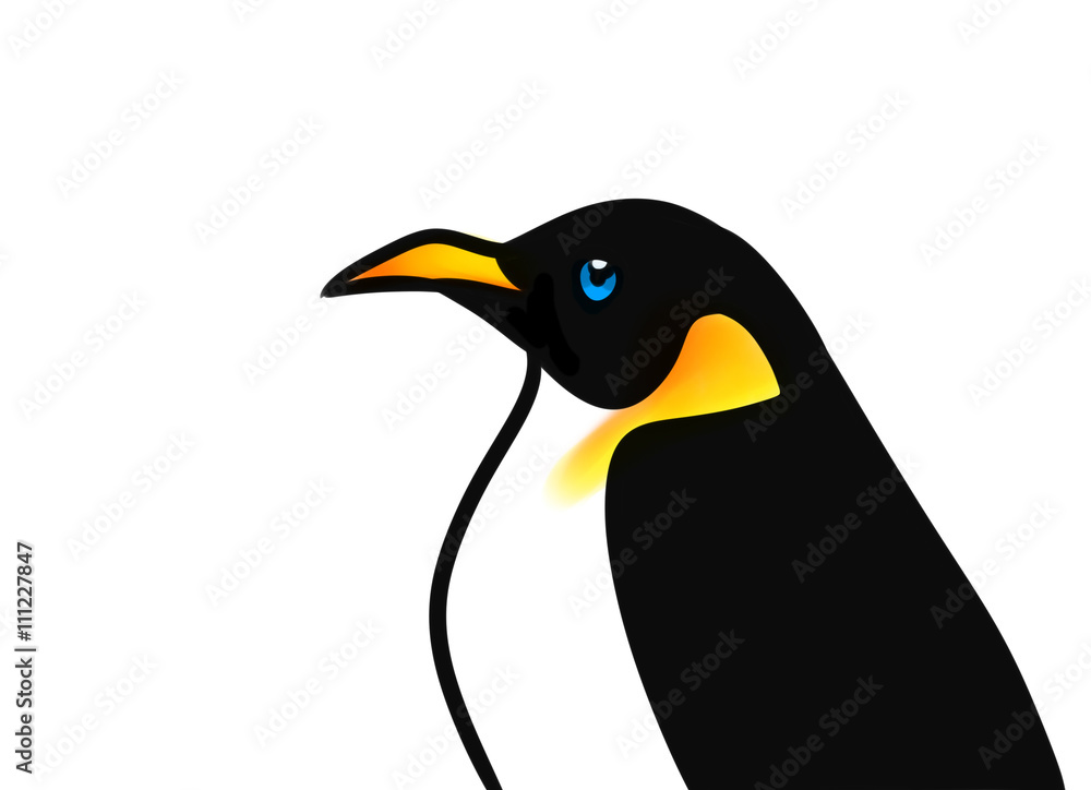 Fototapeta premium Bird penguin cartoon illustration isolated image