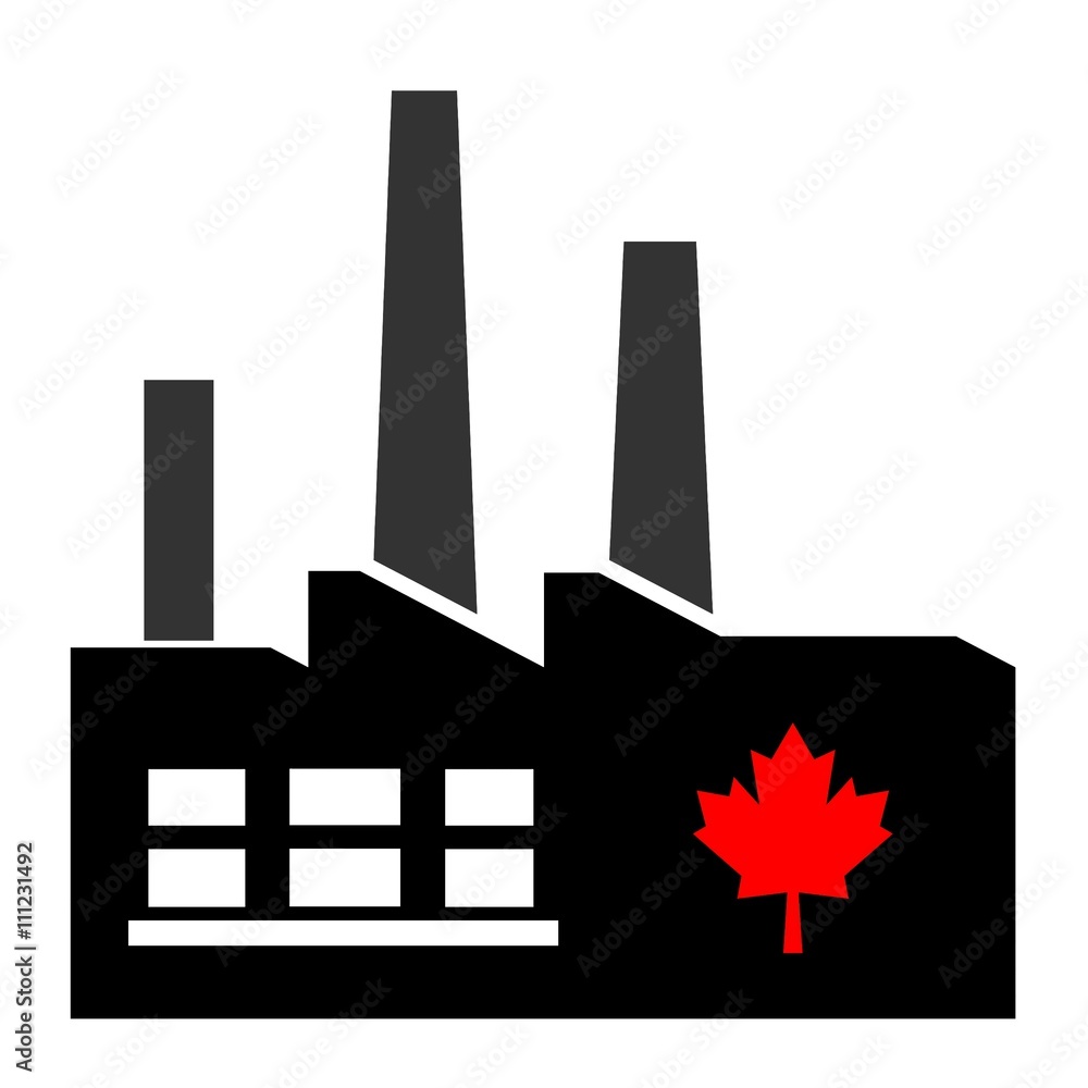 Feuille d'érable dans une usine Feuille d'érable dans une usine