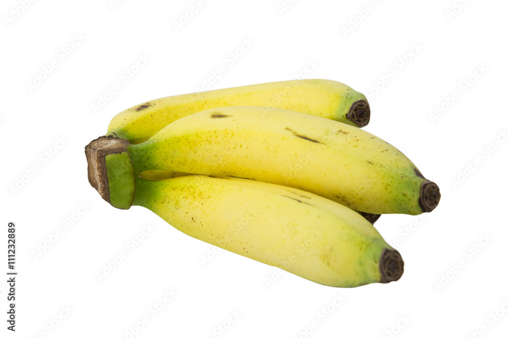 banana banana