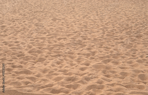 Beach in the summer.