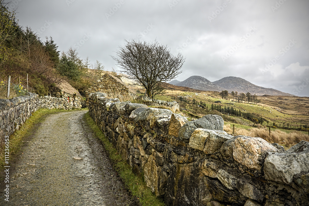 Connemara lane