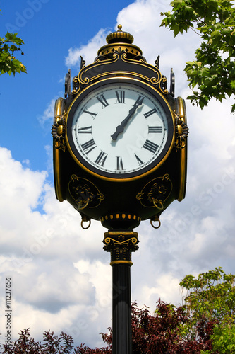 Street clock surrounded by nature and blue cloudy sky