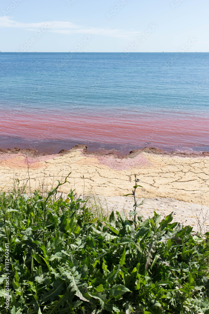 red polluted water at sea that looks like a bloodbath and very dirty shore