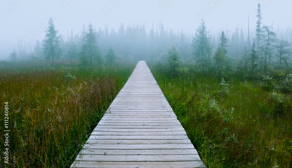 Fototapeta premium Infinite path II