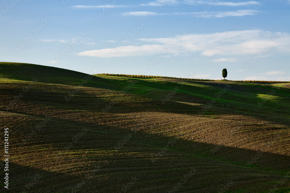 Lone tree over hills