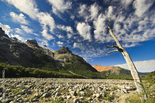 old dead tree in mountains with blue sky and clouds