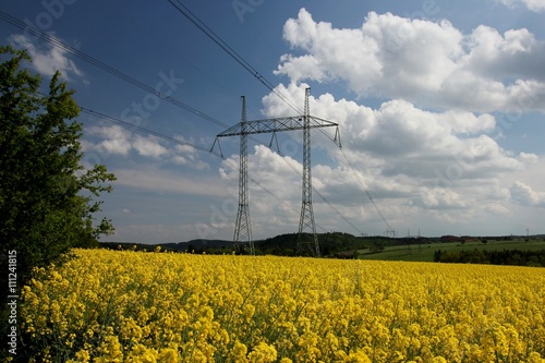 Rapeseed, field with high voltage power line