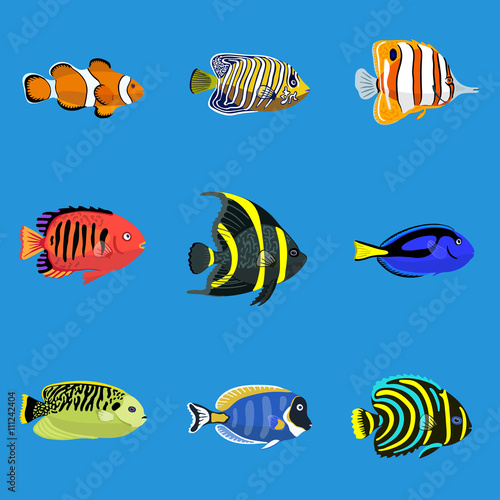 Set of tropical ocean fishes, vector illustration
