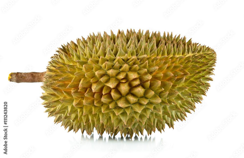 Durian on white background Durian on white background