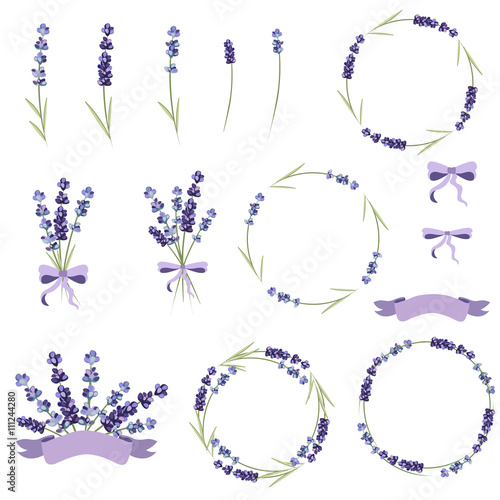 Set of lavender flowers