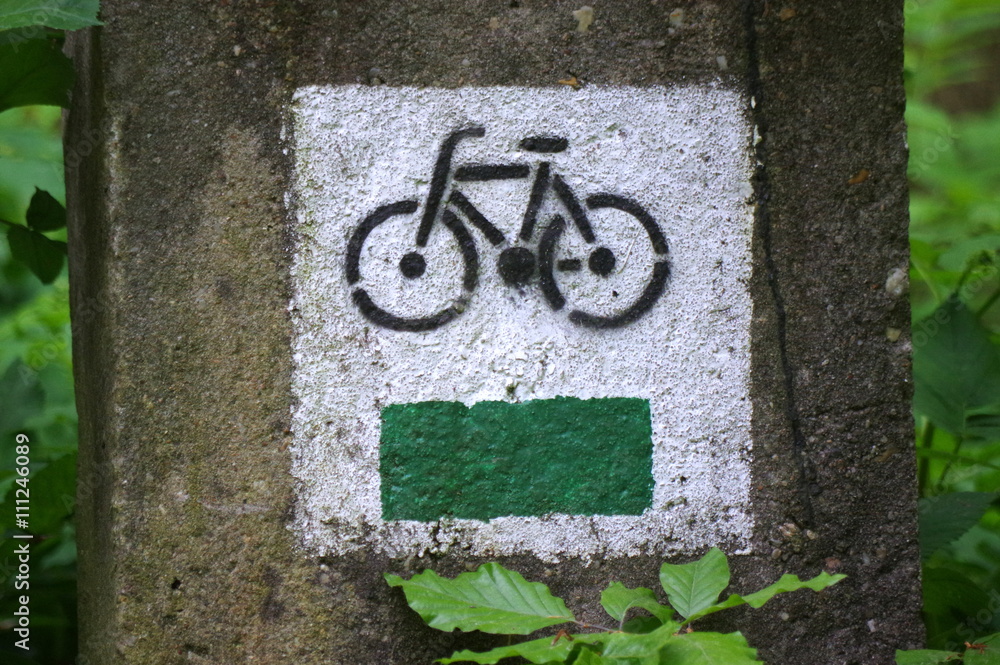 zielony szlak rowerowy - obrazy, fototapety, plakaty 