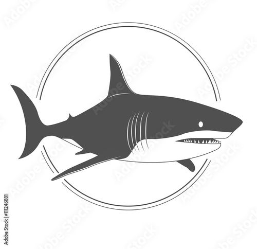 Big shark black and white silhouette isolaned on white background