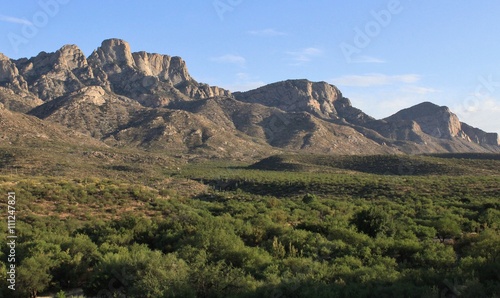 Arizona Desert Mountains and Cactus Landscape