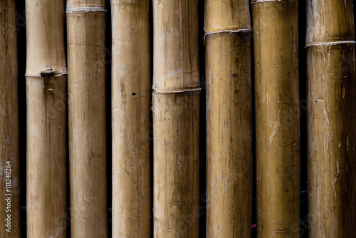 bamboo fence background