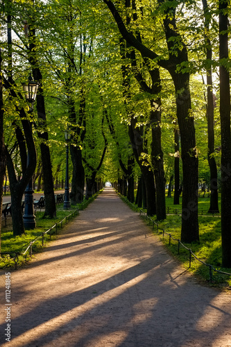 Road in park in early sunny morning