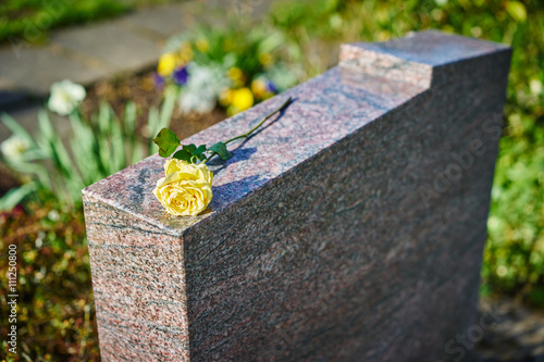 Obraz na plátně grief at on cemetery / withered yellow rose on gravestone