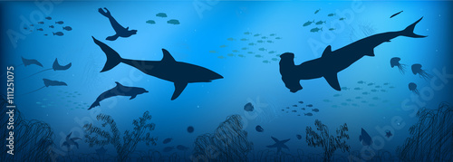 underwater world doodle